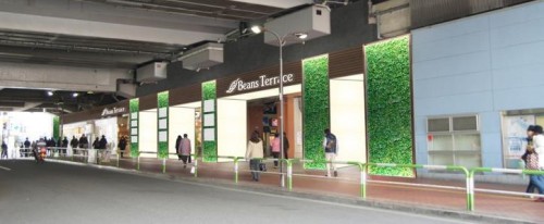 ビーンズテラス