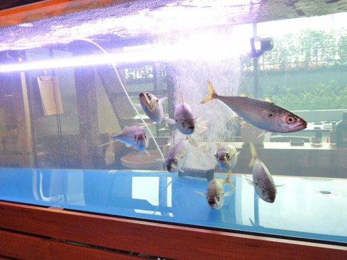 豊後さばを店内で調理