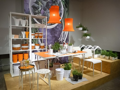 家庭菜園の提案