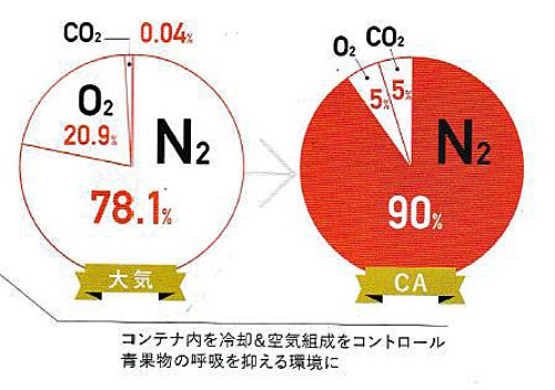 コンテナ内の空気組成の割合