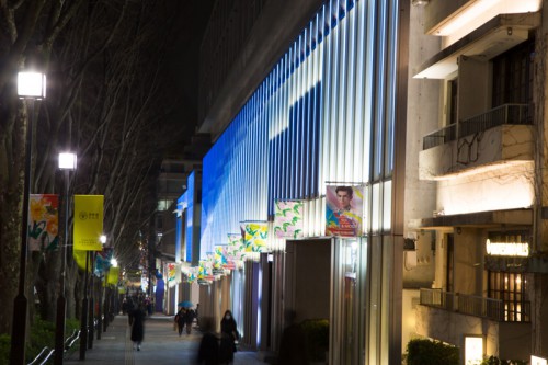 夏のライトアップ