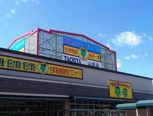 タチヤ山県店