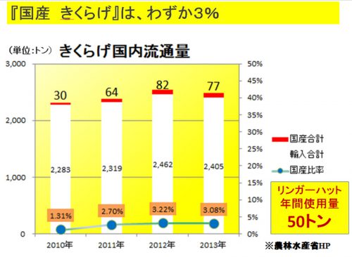 キクラゲの市場動向