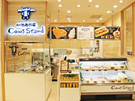 Cows Stand