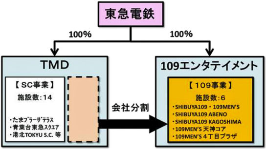 新会社の概要