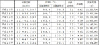 日本チェーンストア協会／2017年は2年連続前年割れ、0.9％減の12兆9175億円
