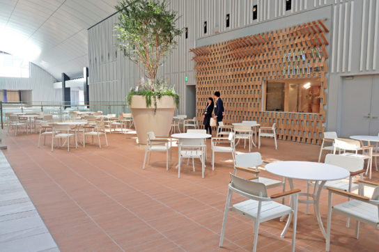 コモレビテラス