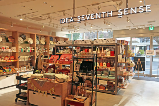 IDEA SEVENTH SENSE