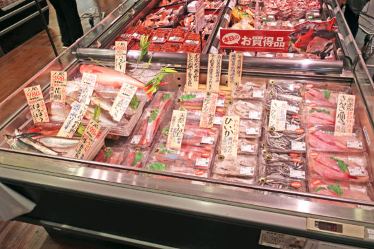 漁港直送の鮮魚も販売