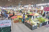 いなげや／「練馬関町店」開店1週間の生鮮・惣菜売上構成比57.4％に