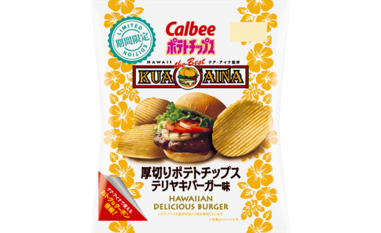 厚切りポテトチップス テリヤキバーガー味