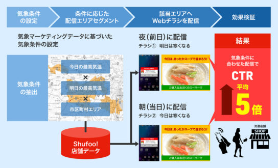 実証実験の概要