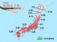 第1回桜開花予想／東京3月22日・大阪26日、全国的に平年並みか早い