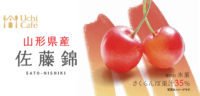 ローソン／国産果汁30％使用「ウチカフェ 日本のフルーツ」アイス