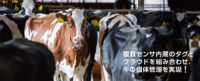ダイエー／直営農場に「牛の行動分析システム」管理業務効率化