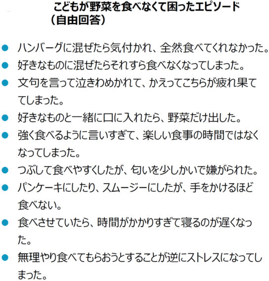 子どもが野菜を食べなくて困ったエピソード（自由回答）