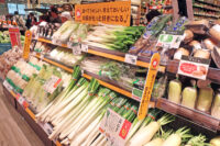 スーパーマーケット／12月既存店、成城石井など12社増収も13社減収で明暗