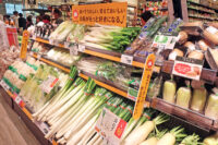 スーパーマーケット／1月の既存店売上1.4％減、一般食品1.4％減