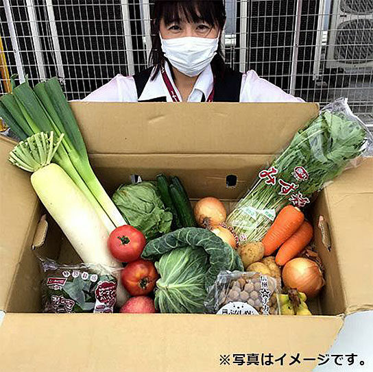 野菜・果物セットの例