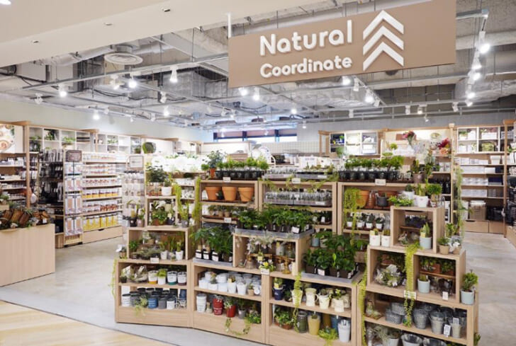 新業態「Natural Coordinate」