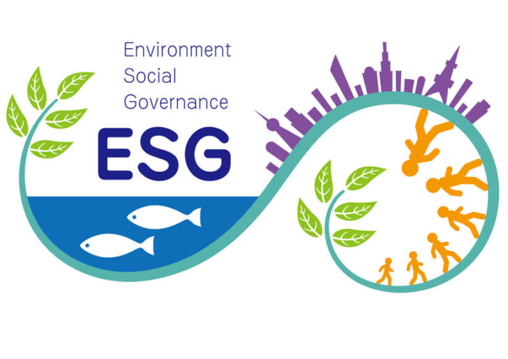 ESG経営のための情報開示ガイドラインと自主点検解説