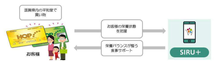 実証実験の概要