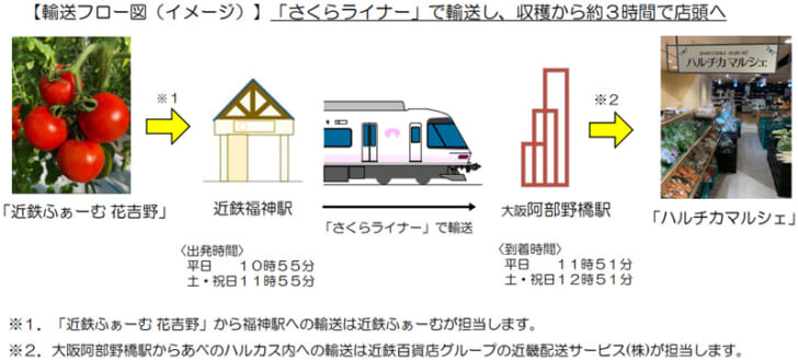 実証実験の概要