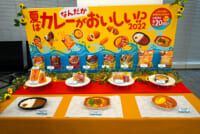ファミリーマート／亀田製菓コラボのクリスピーチキン含むカレー15商品発売