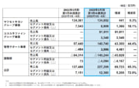 マツキヨココカラ／4～6月売上高65.3％増、統合で顧客接点拡大へ