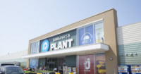 PLANT／店舗運営本部と商品本部を統合し「営業本部」新設