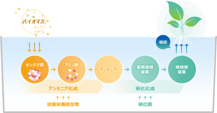 プロバイオポニックス技術のイメージ