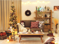 ニトリ／2023年クリスマス商品販売「飾りつけの悩み事を解決」