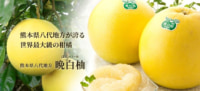 イオン／熊本県産の晩白柚を香港でPR