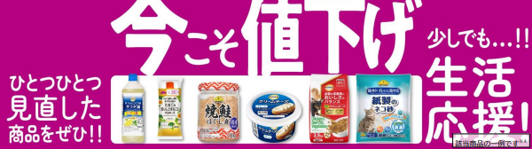 イオン／トップバリュ28品目を値下げ、サラダ油やマヨネーズなど