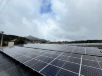 スギ／店舗に太陽光発電の電力導入、CO2排出量年273トン削減