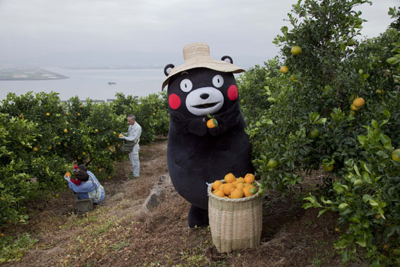 「くまもん」起用CMのカット