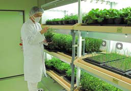 植物栽培実験施設（内部）