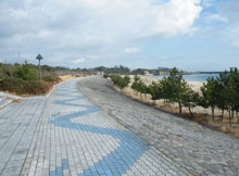 湊浜緑地　園路（海岸側）　※震災前の様子