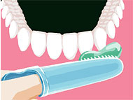 2：歯と歯ぐきの気になる部分からやさしくマッサージするように磨く