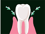 3：薬用成分が濃いまま、気になる歯ぐきに届く