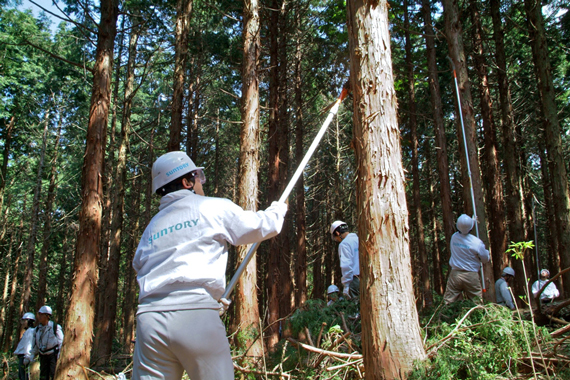 サントリーグループの森林整備研修 イメージ