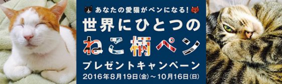 エナージェル限定猫柄発売記念キャンペーン