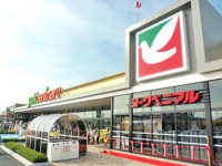 ヨークベニマル／3～5月、即食・簡便ニーズで惣菜強化も営業利益17.3％減