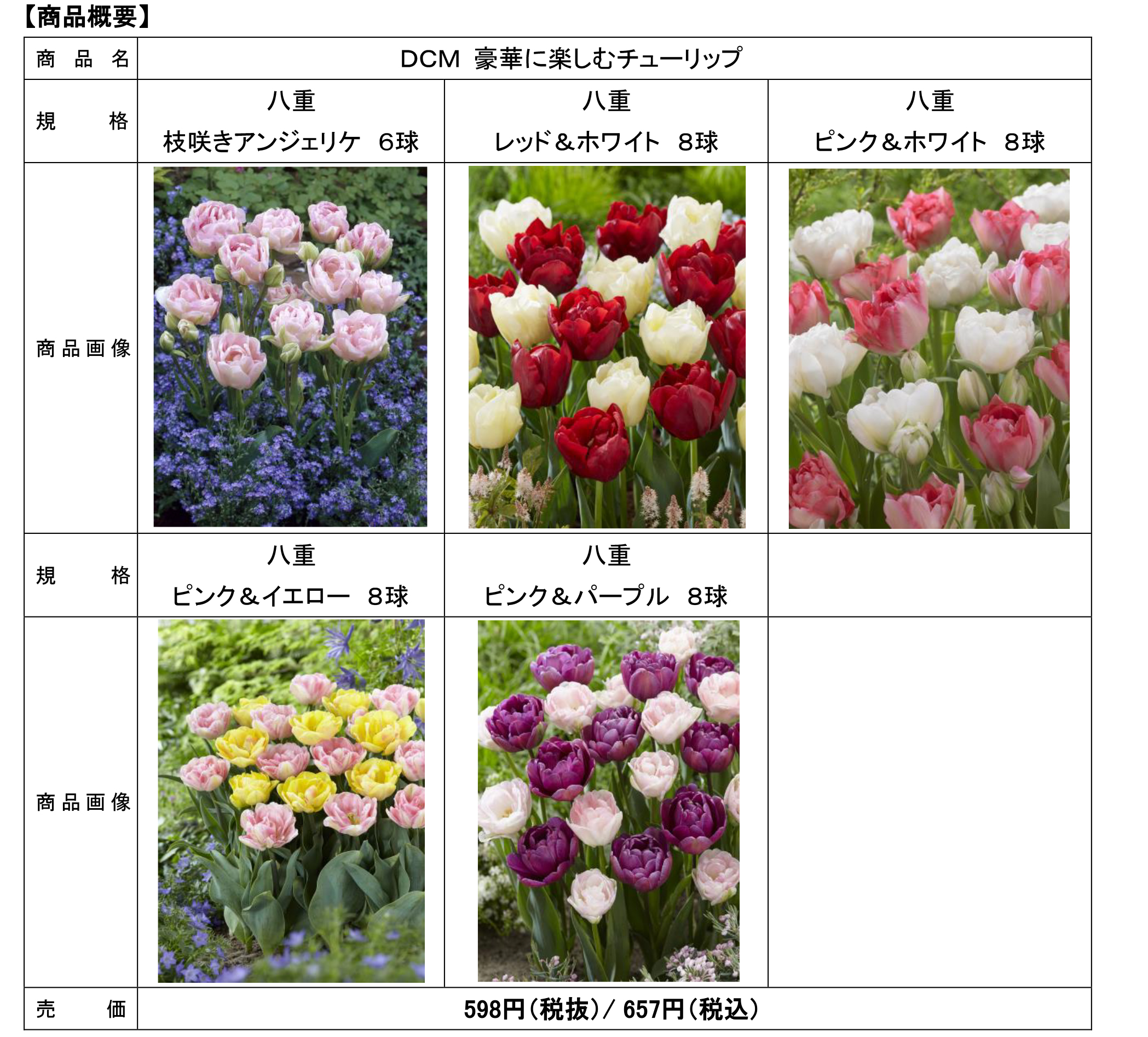2025年激安 DCM／コロナ禍で人気上昇、家庭用秋植え「チューリップ」5種発売 ワンピース