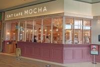 イオンモール太田／アニマルゾーンに「猫カフェMOCHA」オープン