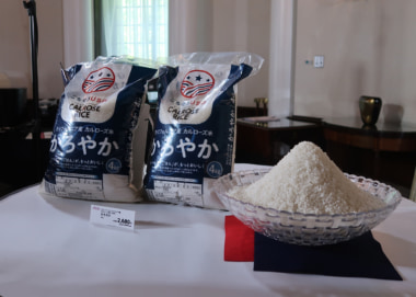 イオン／米国産米を4㎏税別2680円で発売、都市部中心に600店舗に展開