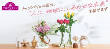 イオン 新商品／トップバリュからケニア産ばら発売、フェアトレード認証取得