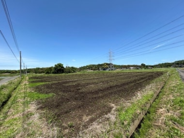 松屋フーズ／千葉県木更津市で稲作の共同実証を開始