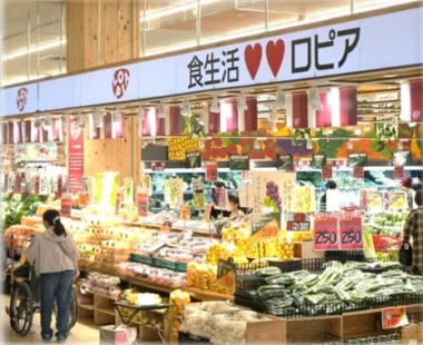 アークランズ／ロピアフランチャイズ2号店「マルダイ新潟店」今秋オープン