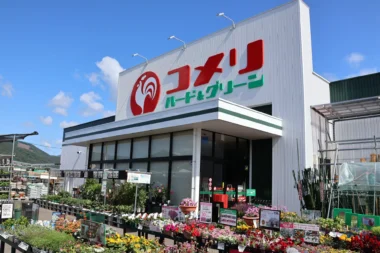 コメリ／愛媛県八幡浜市に「ハード＆グリーン保内店」9／17オープン
